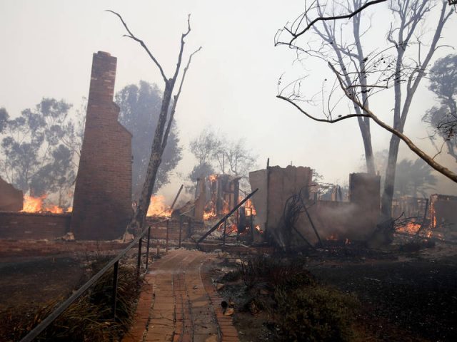 Creek Fire
