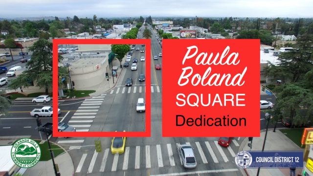 Paula Boland Square Thumbnail